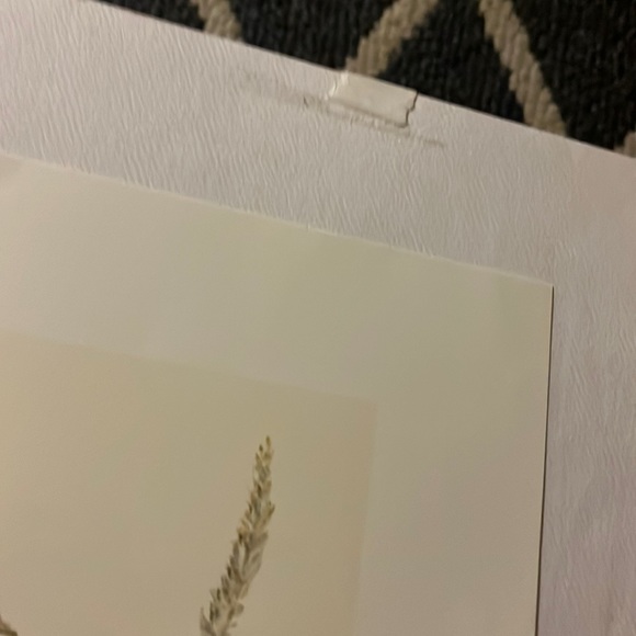 🖼️ 🐶 🖼️• 💎 AMY BRACKENBURY x 🐸 “Toadally” Vibes - Picture 6 of 16